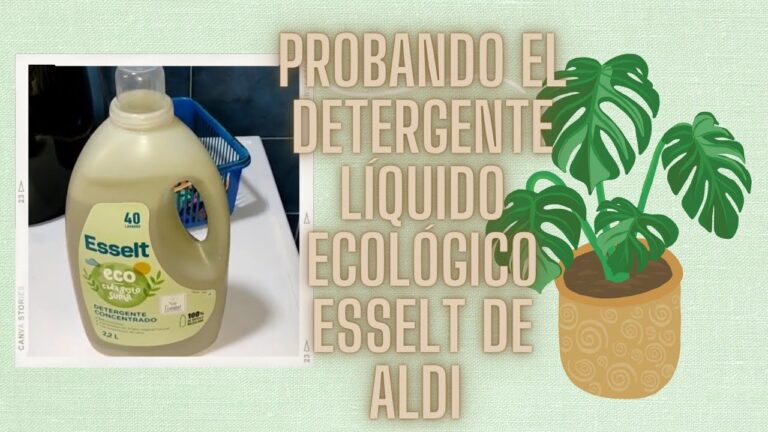 Elimina todas las manchas con Esselt: el detergente universal de Aldi